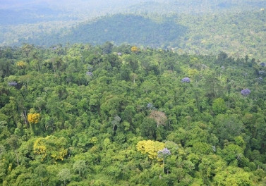 Carajás: Proteção da Floresta Amazônica ajuda no combate ao aquecimento global