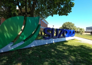 Suzano abre inscrições para o Programa de Estágio 2021