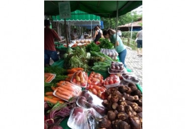 Feira agroecológica do Parque Botânico passa a funcionar em novo horário