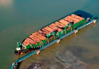 Fibria investe R$ 54,4 milhões na modernização do transporte marítimo de madeira