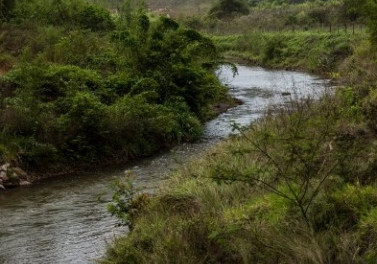 Fundação Renova irá aportar cerca de r$5,6 milhões em pesquisas de desenvolvimento e inovação voltadas para a Bacia do Rio Doce