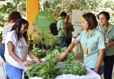 Investimentos sociais da Vale contribuem para formar empreendedores no Maranhão