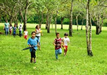 Mês de férias na Reserva Natural Vale vai ter atividades ecológicas e esportes ao ar livre