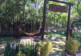 Parque Botânico Vale inaugura novo espaço para lazer e relaxamento dos visitantes
