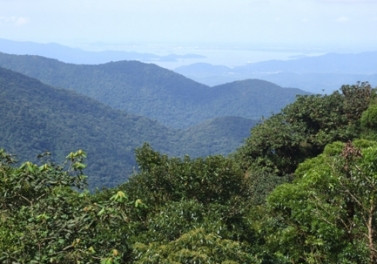 Reflorestar conta com cerca de 20 mil hectares de áreas preservadas e recuperadas no ES