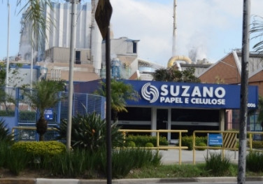 Suzano cota de R$ 6 bi a R$ 8 bi com bancos para aquisição da Fibria