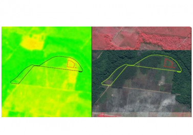 Suzano realiza monitoramento em fazendas por imagem de satélite