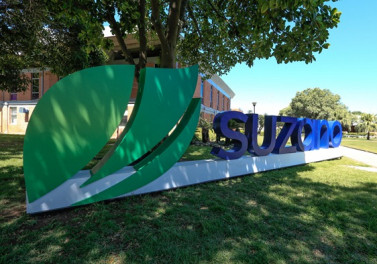 Suzano vende 2,9 milhões de toneladas de celulose e papéis no primeiro trimestre de 2021