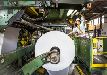 Suzano abre 20 vagas para curso gratuito de Operador de Processo de Produção em Suzano (SP)