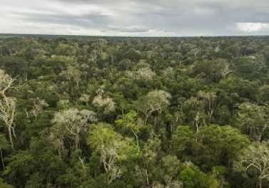 Vale avança na agenda do clima e anuncia US$ 2 bi para reduzir emissões de carbono nos próximos 10 anos