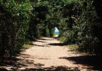 Inscrições para monitores ambientais do Parque Paulo César Vinha terminam na sexta (21)