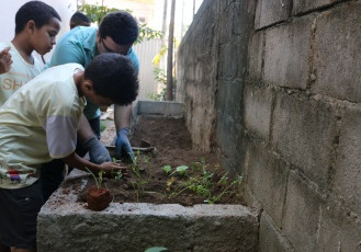 Parque Botânico Vale leva Horta Educativa para instituição social de Serra