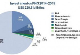 Plano de Negócios e Gestão: PNG 2014-2018