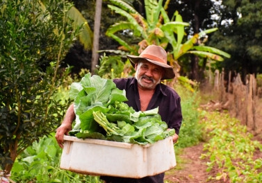 WWF-Brasil e Fundação Renova lançam concurso para selecionar projetos inovadores para a restauração da bacia do rio Doce