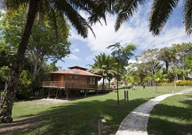 Vagão Cultural apresenta Parque Botânico e Reserva Natural Vale no Trem de Passageiros