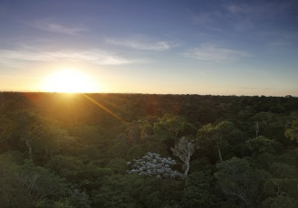 Reserva Natural Vale promove Colônia de Férias durante o recesso escolar