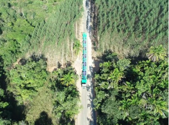 Suzano inaugura projeto histórico de logística florestal no Extremo Sul da Bahia