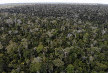 Suzano identifica novas Áreas de Alto Valor de Conservação (AAVCs) no Espírito Santo e amplia outras na Bahia