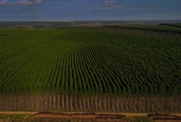 Gerdau apresenta avanços em sustentabilidade em seu Relatório Anual 2021