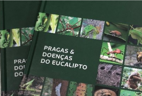 Livro reúne informações essenciais para identificação de pragas e doenças do eucalipto