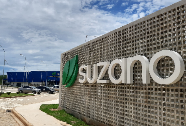 Suzano abre inscrições para o Programa de Trainee 2025