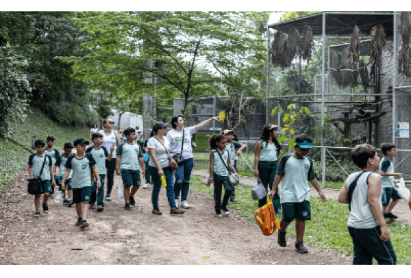 Projeto Xerimbabo Usiminas tem início em outubro com circuito de visitação ambiental