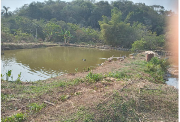 Iniciativa da Samarco torna Camargos o primeiro distrito de Mariana a ter 100% de cobertura de tratamento de esgoto