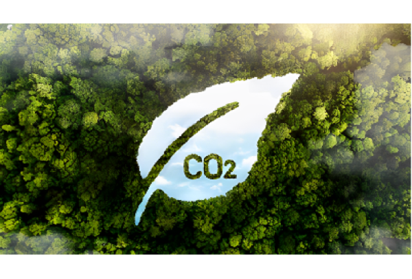 Bandes divulga resultado da primeira etapa da chamada pública para gestora do Fundo de Descarbonização