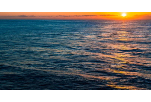 Como empresa líder na transição energética justa, reforçamos os compromissos de reduzir emissões e investir em soluções de baixo carbono