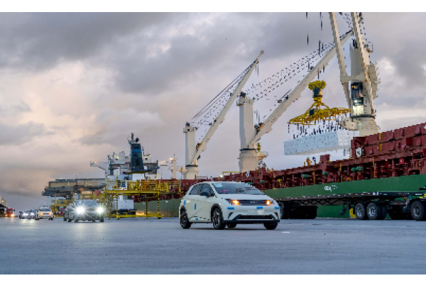 Portocel acelera crescimento, amplia escala operacional e consolida atuação nacional