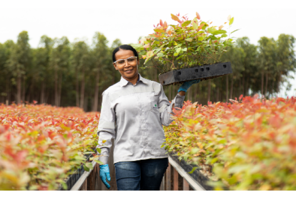 Suzano intensifica ações para ampliar presença feminina no setor florestal