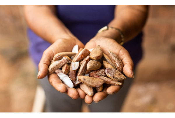 Suzano contribui para retirar mais de 140 mil pessoas da linha da pobreza em cinco anos em suas regiões de atuação