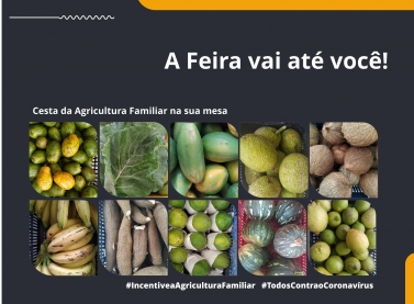 Suzano lança ação para fortalecer vendas da agricultura familiar de Aracruz em meio à pandemia do coronavírus