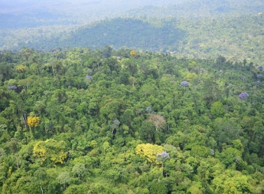 Carajás: Proteção da Floresta Amazônica ajuda no combate ao aquecimento global