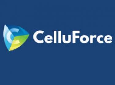 Fibria adquire participação na canadense CelluForce