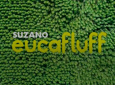 Certificação internacional atesta a excelência ambiental da celulose fluff da Suzano por meio do selo EU Ecolabel