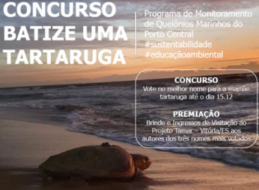 Concurso Batize Uma Tartaruga