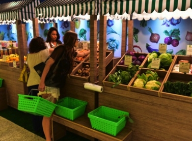 Feira Orgânica do Shopping Vila Velha conta com palestra na programação deste sábado (23)