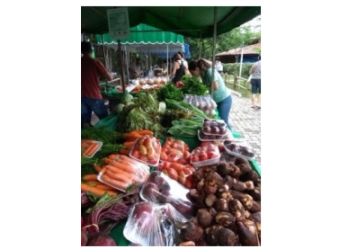 Feira agroecológica do Parque Botânico passa a funcionar em novo horário