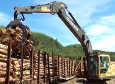 Fibria firma parceria para ampliar transporte ferroviário de madeira