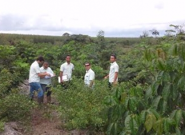Fibria implanta mais de 5 mil hectares de áreas protegidas no Espírito Santo