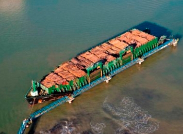 Fibria investe R$ 54,4 milhões na modernização do transporte marítimo de madeira