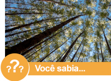 Você sabia que a indústria brasileira de base florestal aderiu às discussões relativas às metas do Acordo de Paris? 