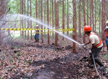 Fibria intensifica trabalhos estratégicos de combate a incêndios florestais no Vale do Paraíba (SP)