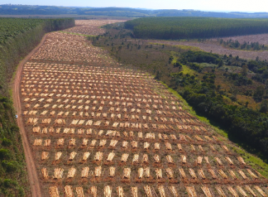 Fibria utiliza drones e Veículos Aéreos não Tripulados (Vant) em operações florestais