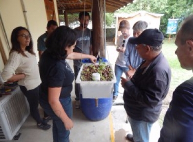 Núcleo de Educação Ambiental da Fibria realiza formação sobre Aquaponia, com uso de tecnologias ambientais