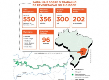 Fundação Renova conclui revegetação de áreas de preservação afetadas por rejeitos