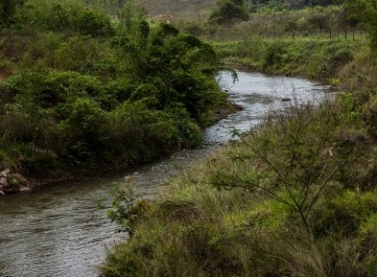 Fundação Renova irá aportar cerca de r$5,6 milhões em pesquisas de desenvolvimento e inovação voltadas para a Bacia do Rio Doce