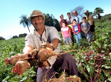 Gestão de empreendimentos da agricultura familiar impacta positivamente a vida no campo