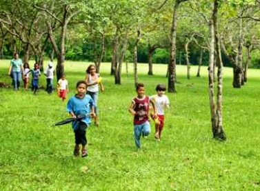 Mês de férias na Reserva Natural Vale vai ter atividades ecológicas e esportes ao ar livre